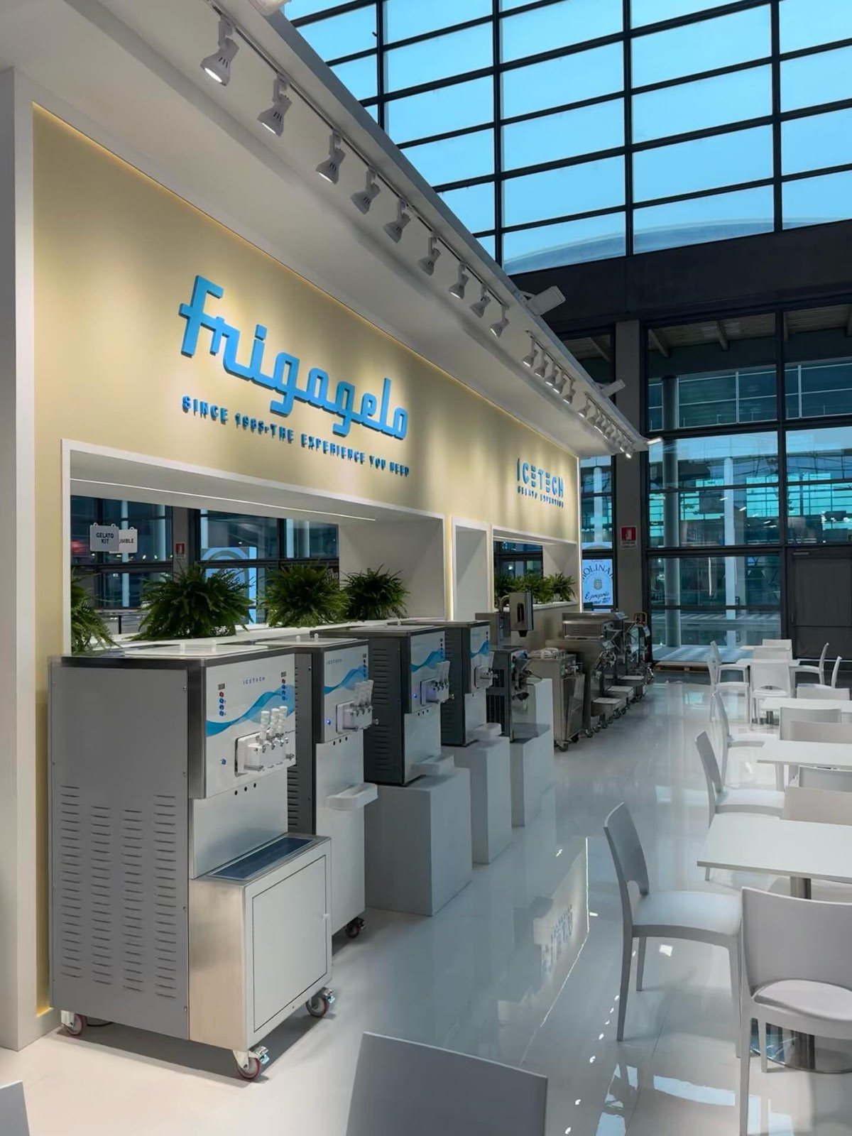 Macchine per gelateria allineate lungo la parete illuminata